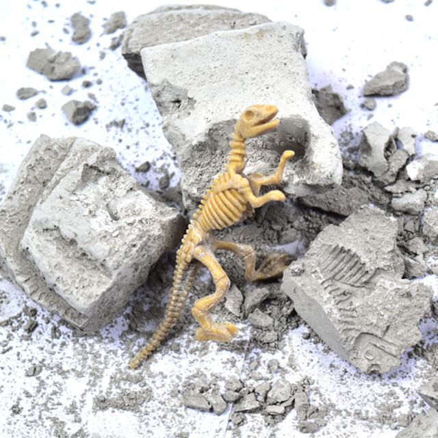 공룡화석 발굴 키트 공룡 장난감 화석 캐기 티라노사우루스 트리케라톱스 피규어 모형